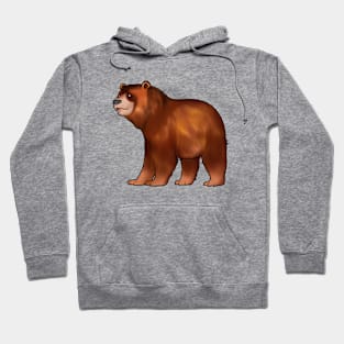 Drawing of a brown bear Hoodie